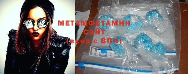 крисы Бородино