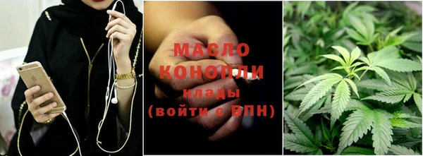 крисы Бородино