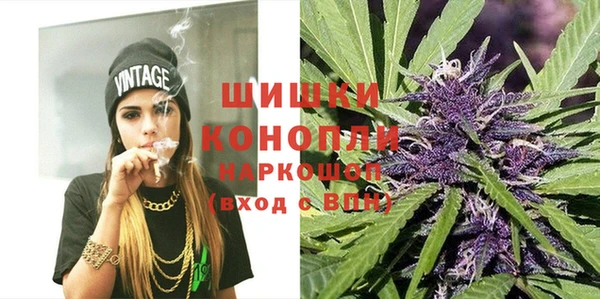 крисы Бородино
