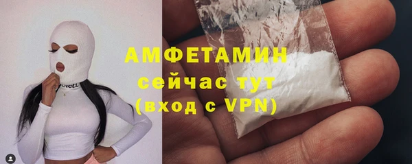 крисы Бородино