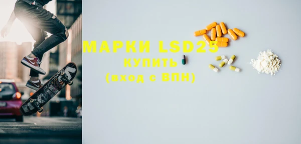 крисы Бородино