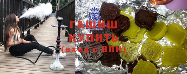 крисы Бородино