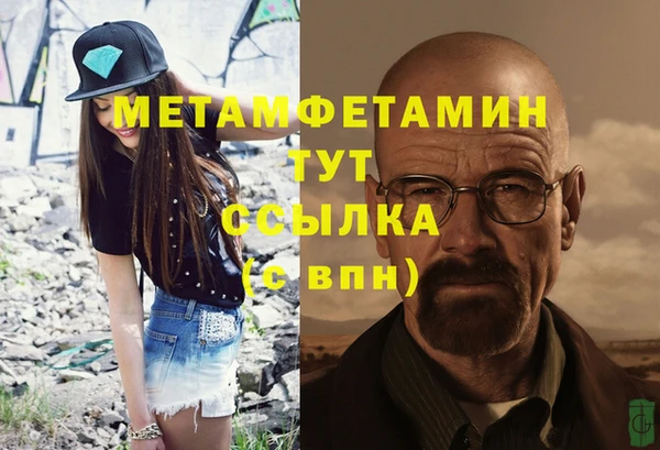 крисы Бородино