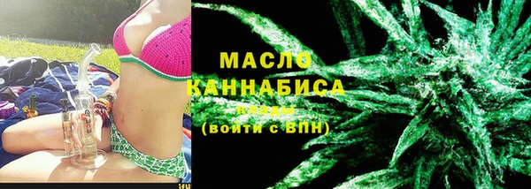 крисы Бородино
