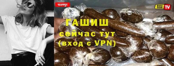 крисы Бородино
