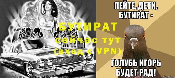крисы Бородино